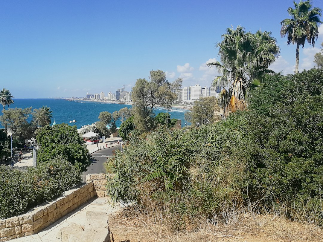 Dagsutflukter i Tel Aviv: Utforsk de Beste Opplevelsene